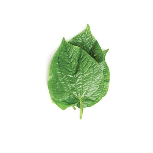 Lá Lốt Canh Tác Hữu Cơ 250G