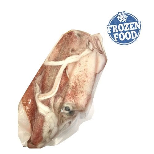 Frozen Squid 2-4Pcs/Kg 500G- 