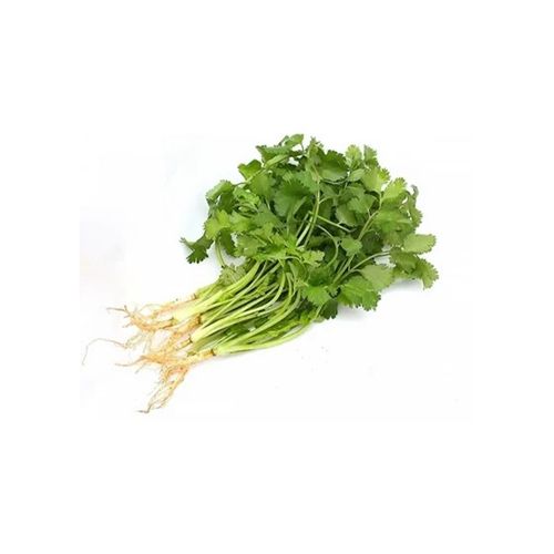 Organic Coriander (Cilantro) 100G- 