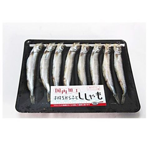 San Komochi Shisamo 8Pcs