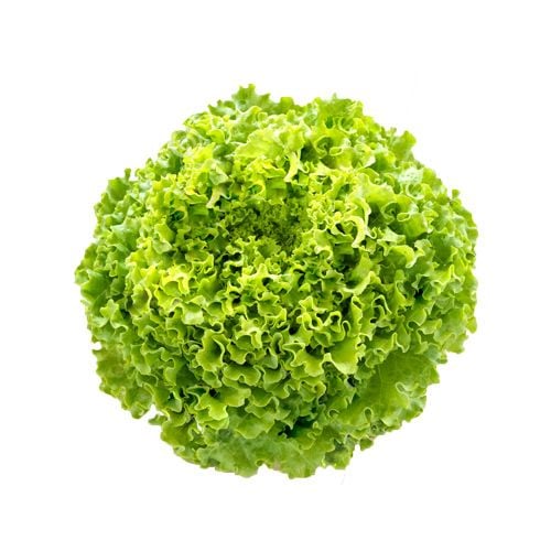 Xà Lách Xoăn Hữu Cơ 250G