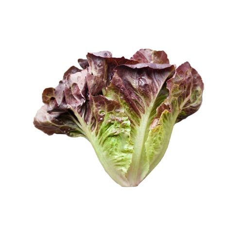 Xà Lách Búp Đỏ Hữu Cơ 250G