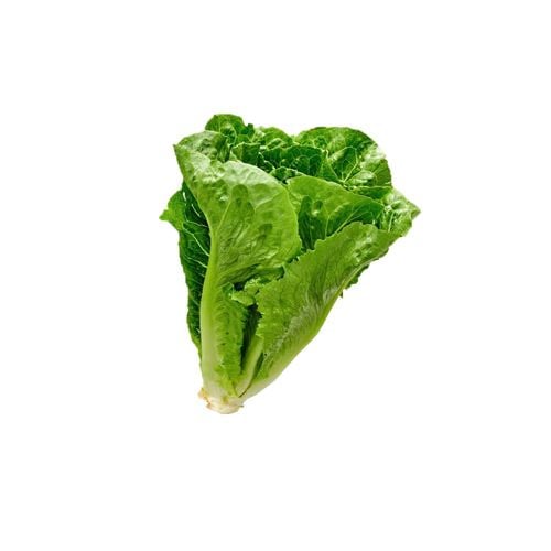 Xà Lách Romaine Đỏ Hữu Cơ 250G