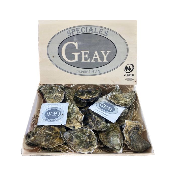 France Oysters Geay No.2 - 24Pcs/Box- 