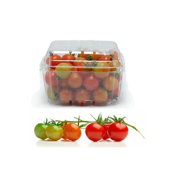 Picota Tomato 500G