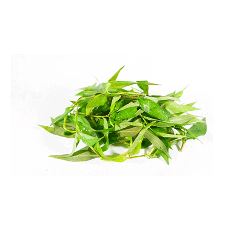 Vnese Mint 100G