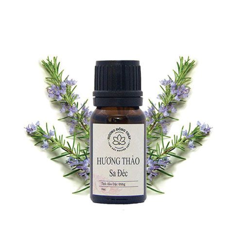 Rosemary Essential Oil Huong Dong Thap 10Ml- Rosemary Essential Oil Huong Dong Thap 10Ml