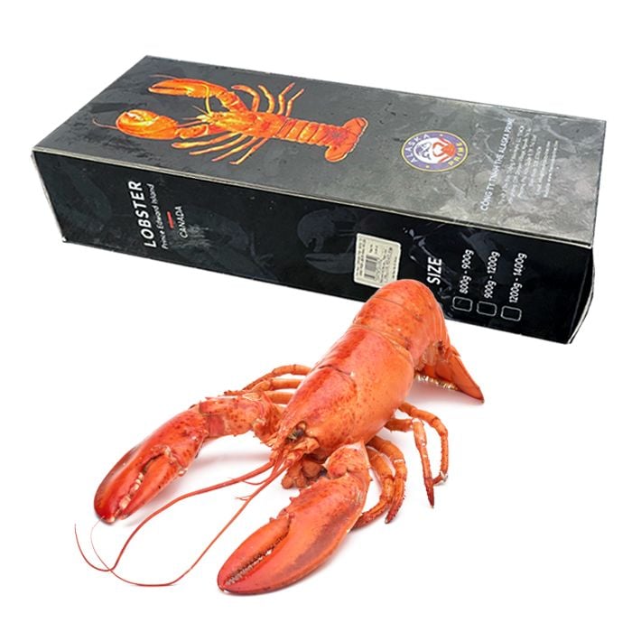 Tôm Hùm Canada Alaska Prime 1Kg- 