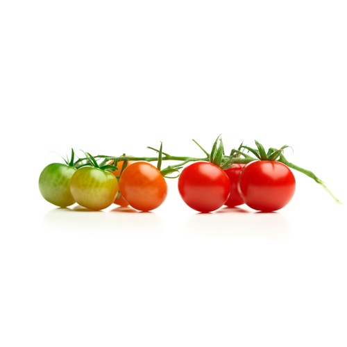 On Vine Tomato  Only Natural350G
