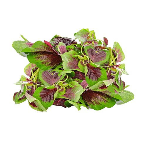 Japanese Purple Amaranth Hopeland 250G