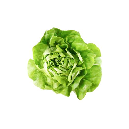 Lettuce Butterhead Viet An 150G
