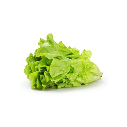 Lettuce Org Sativa 300G- 