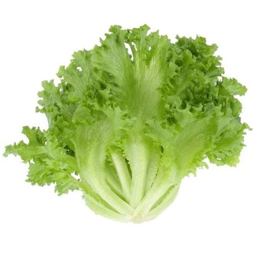 Lettuce Crystal 250G