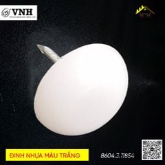 Đinh nhựa màu trắng Vinahardware đế 18x3mm DN198W