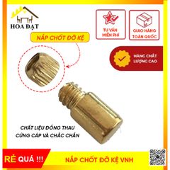 Nắp chốt đỡ kệ Vinahardware, CDK12181-CDK12181