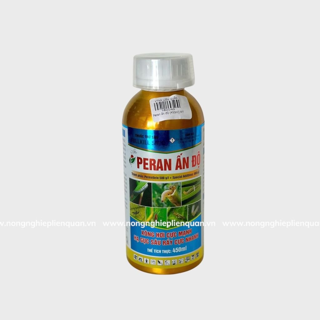 PERAN ẤN ĐỘ