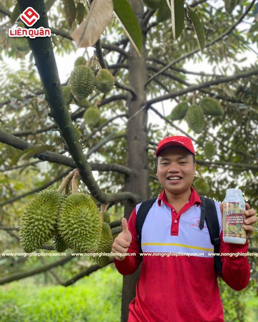 VƯỜN SẦU RIÊNG