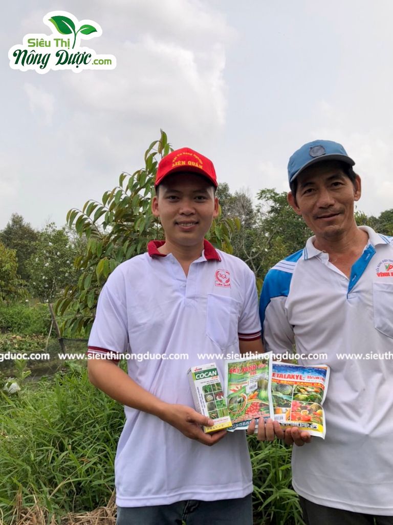 Thăm vườn sầu riêng chú Tân Hoà An - Kế Sách - Sóc Trăng