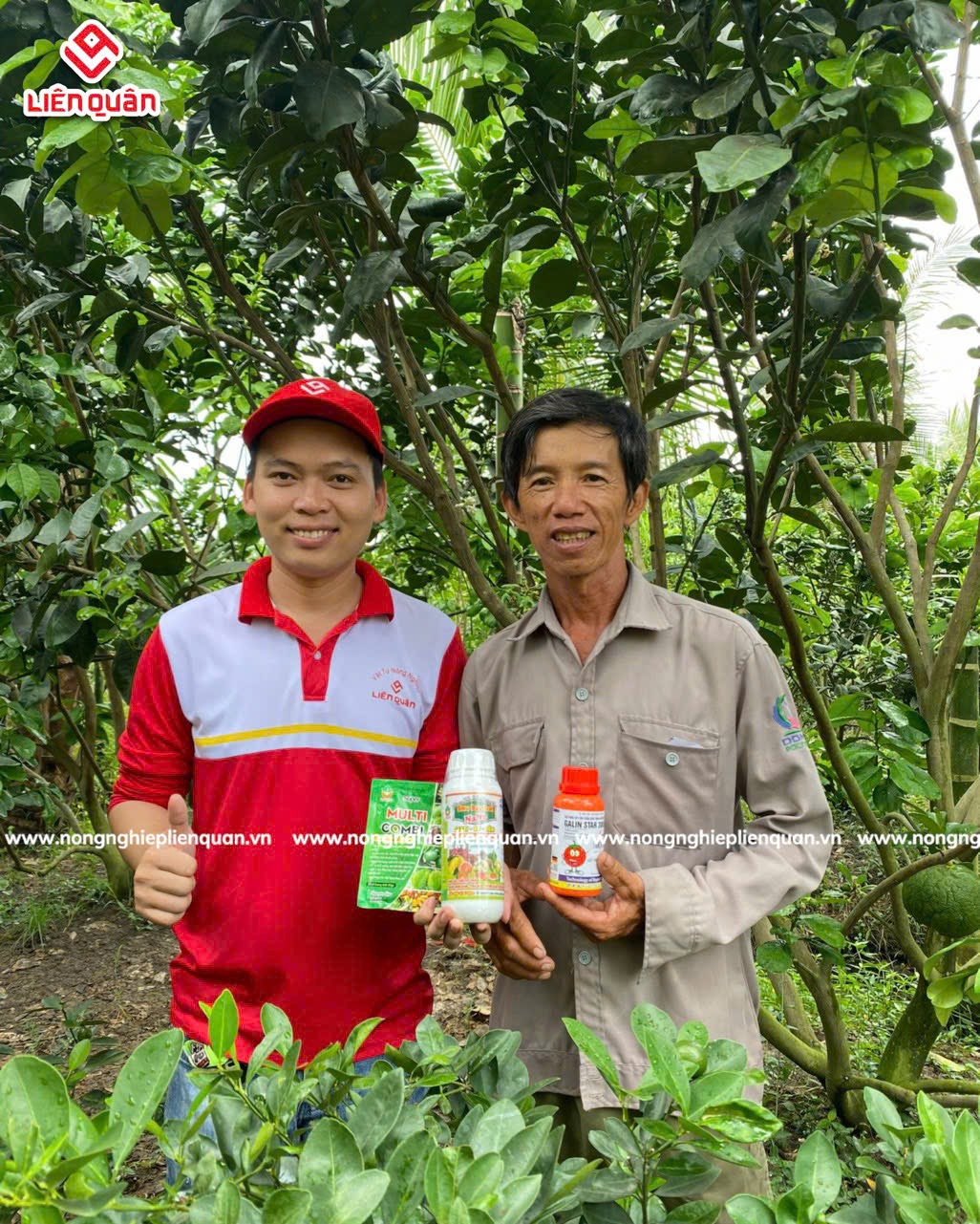 VƯỜN BƯỞI