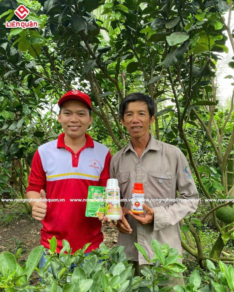 VƯỜN BƯỞI