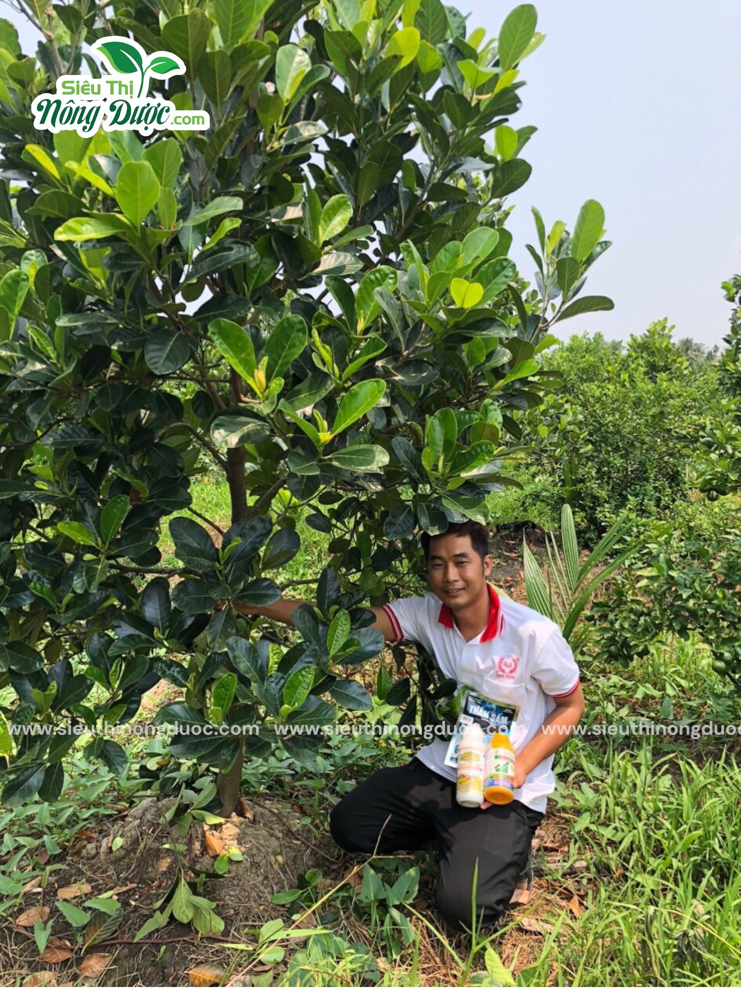 TeamLiênQuân vườn mít anh Phong Phú Tâm , Châu Thành , Sóc Trăng
