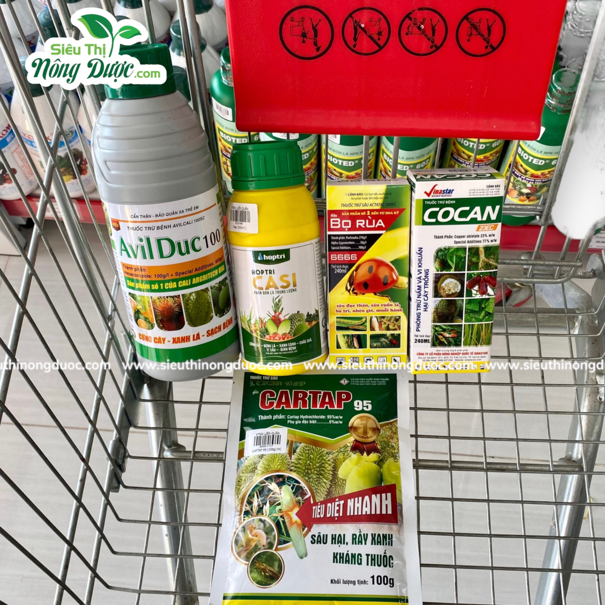 Thăm vườn sầu riêng chú Đỉnh ( Ba Trinh - Kế Sách - Sóc Trăng )
