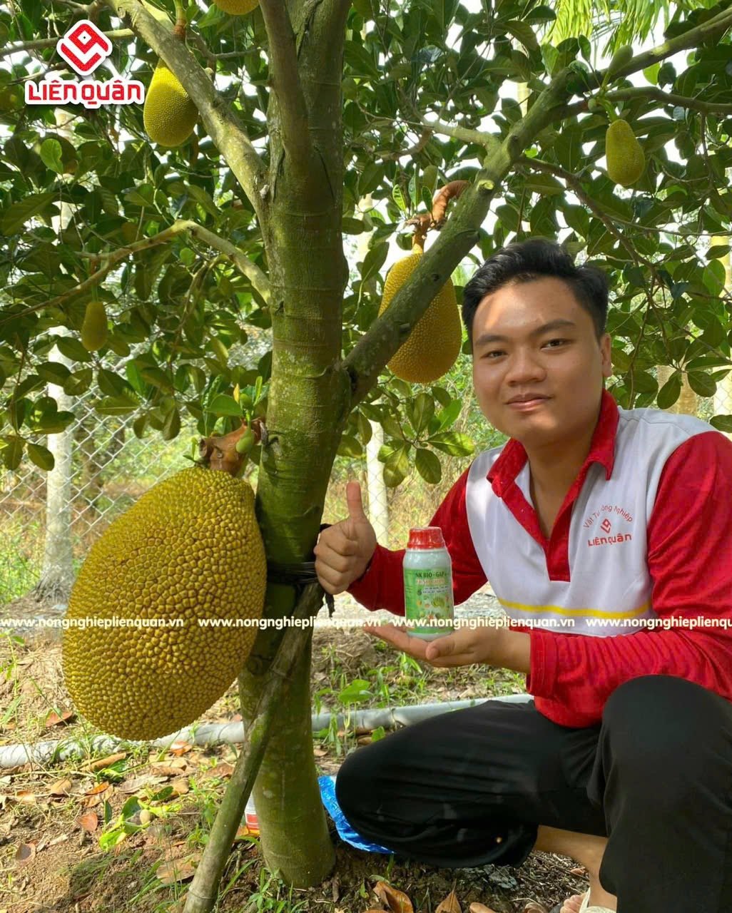 VƯỜN MÍT