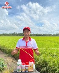 THĂM RUỘNG