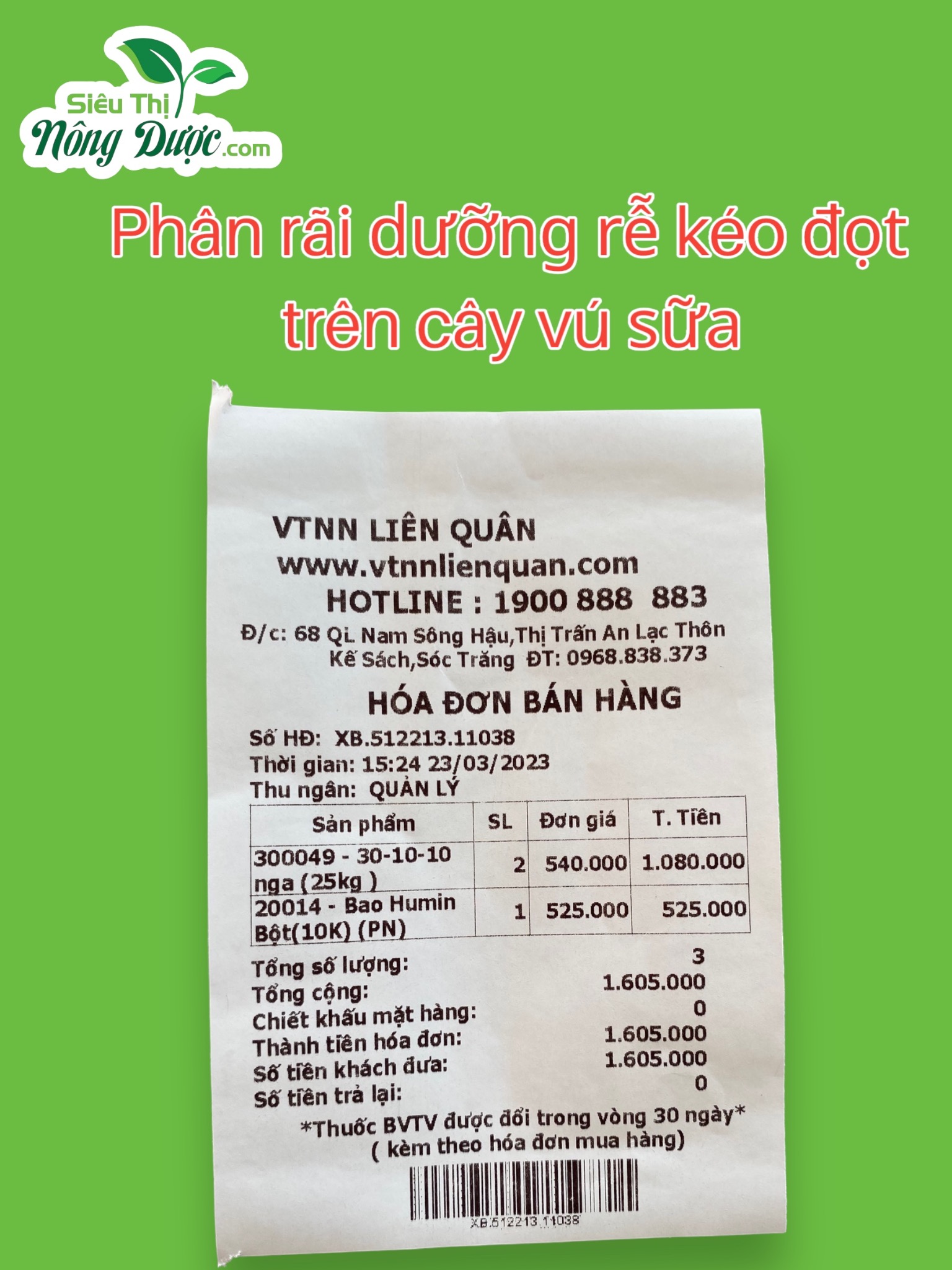 Thăm vườn vú sữa ba anh Lập ( Xuân Hoà - Kế Sách - Sóc Trăng )