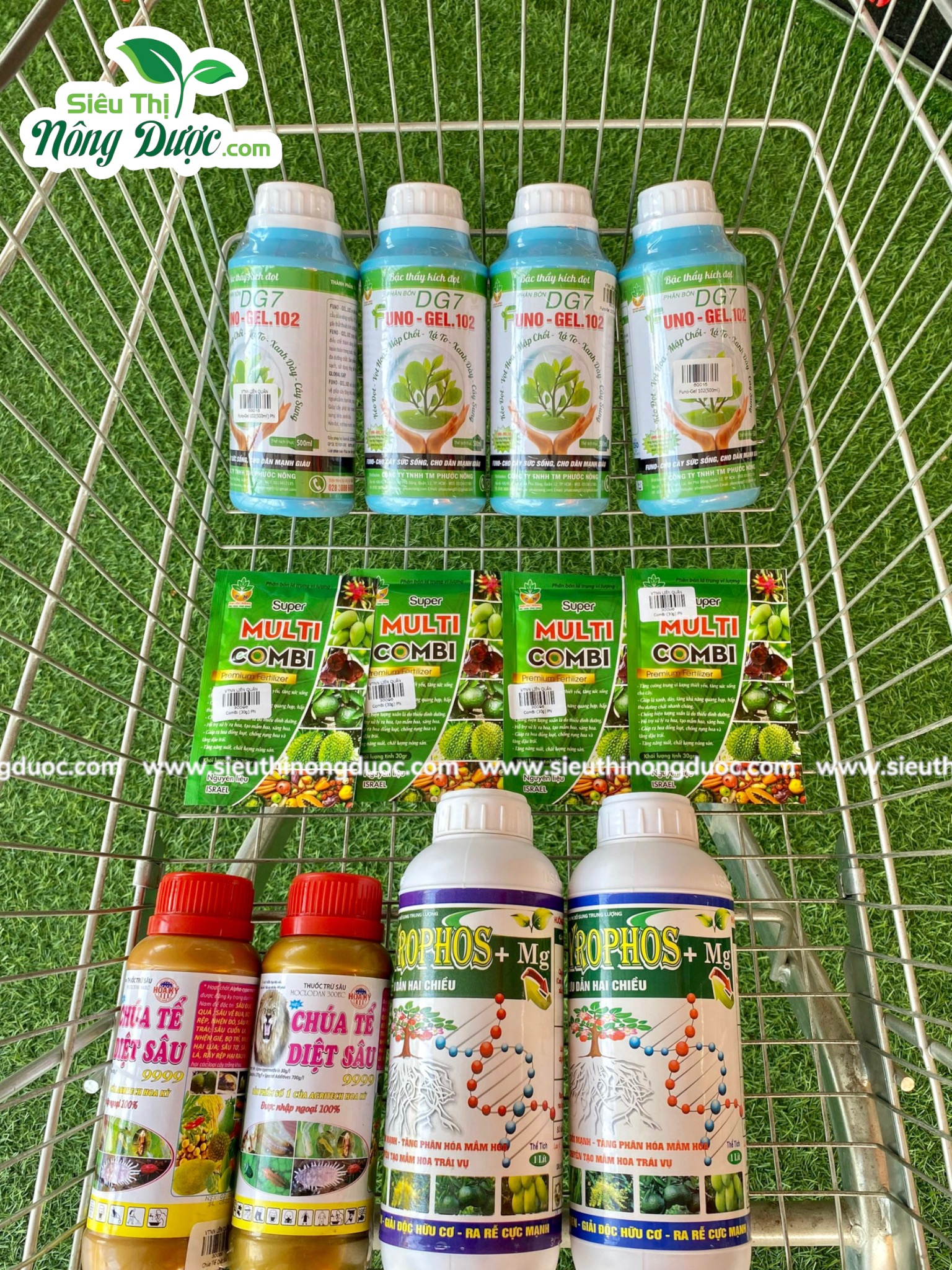 Thăm vườn mít thái chú Hiền ( Cây Sộp - Kế An -Kế Sách - Sóc Trăng )