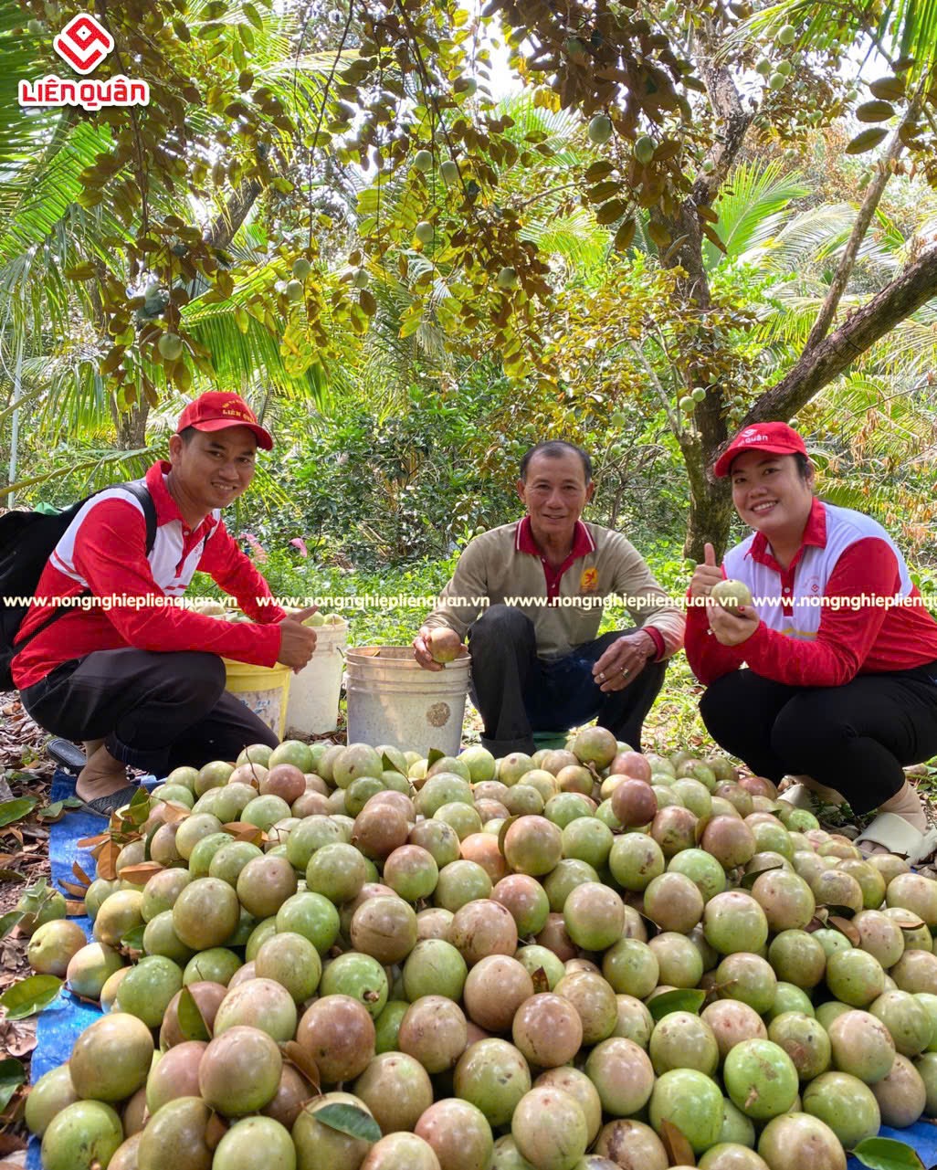 VƯỜN VÚ SỮA