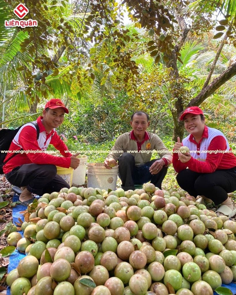 VƯỜN VÚ SỮA
