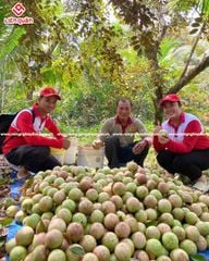 VƯỜN VÚ SỮA