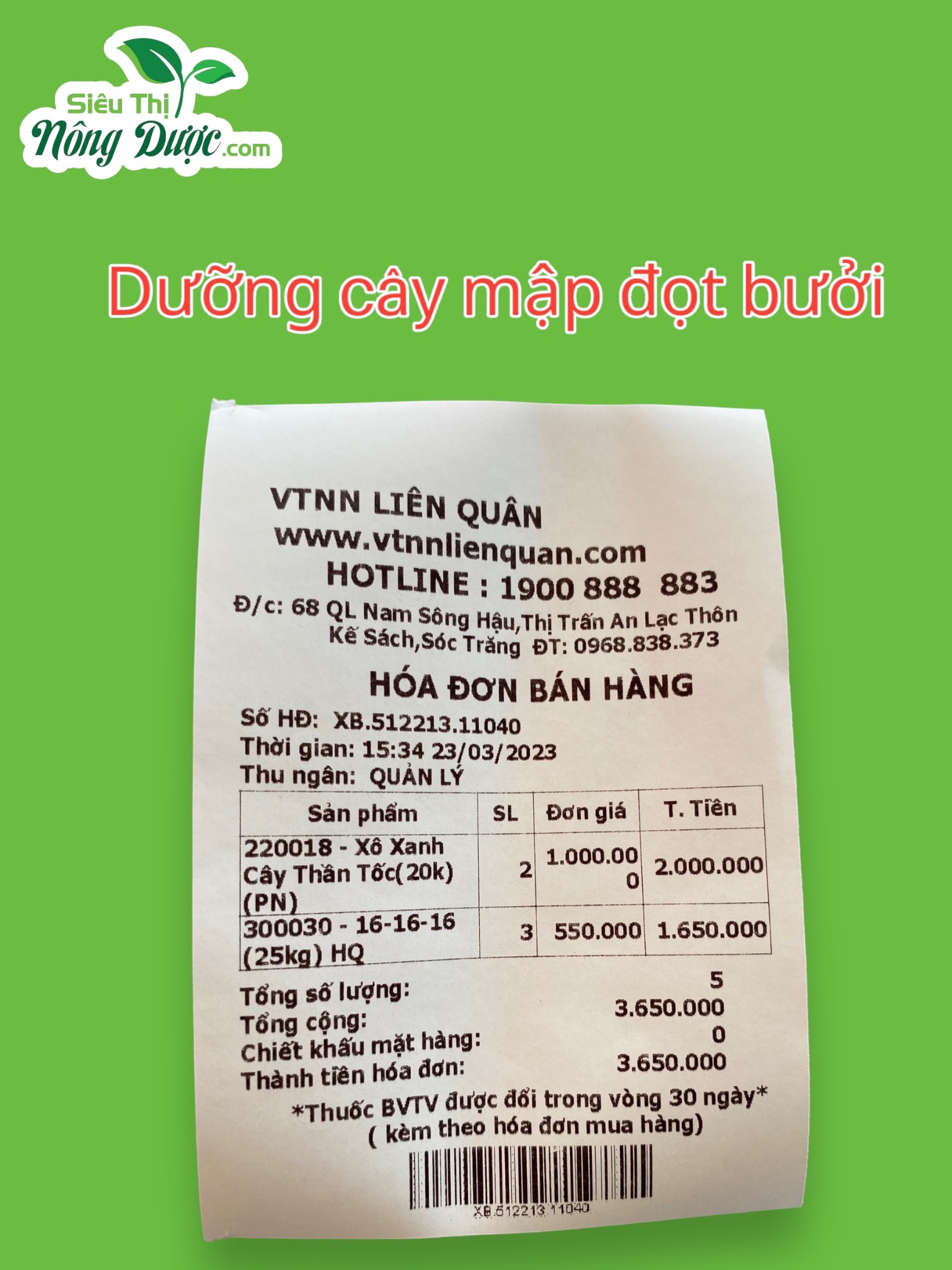 Thăm vườn bưởi anh Sơn ( Kế Thành - Kế Sách - Sóc Trăng )