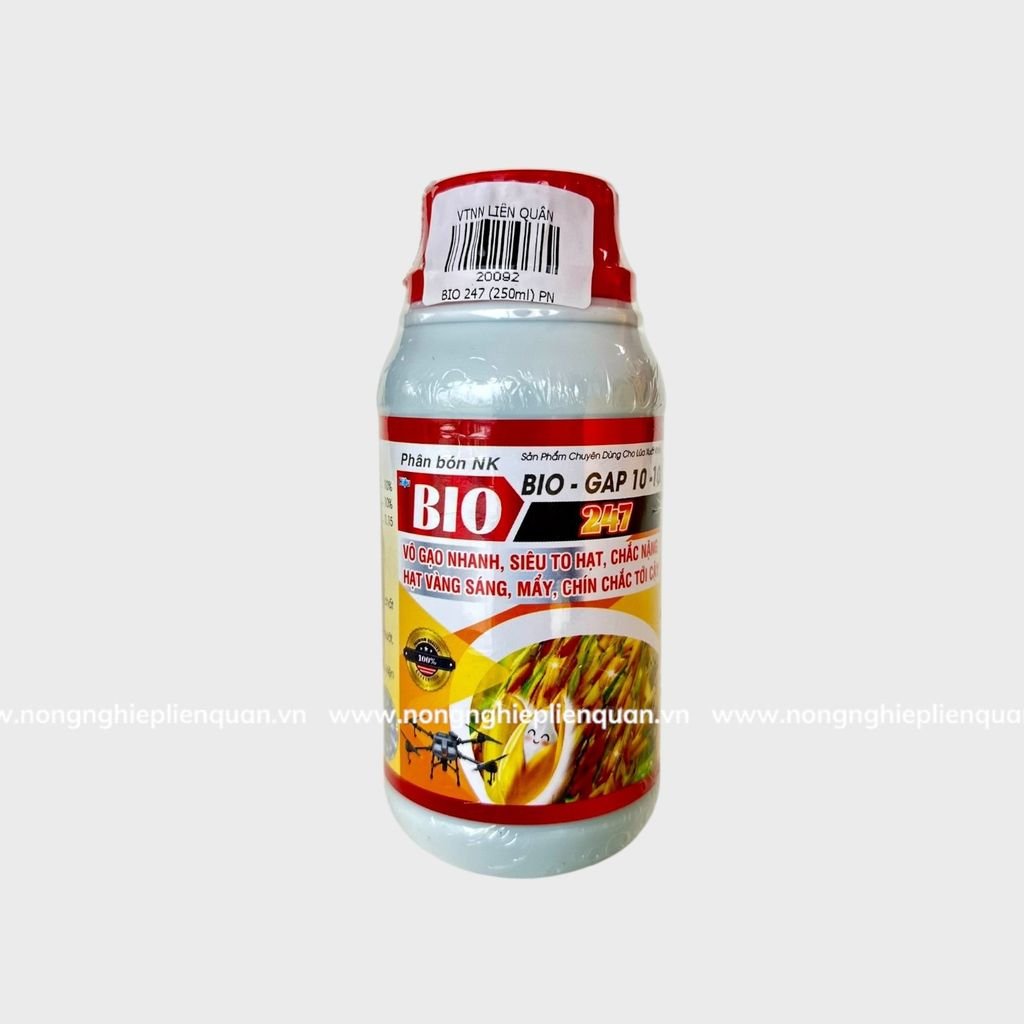 BIO 247