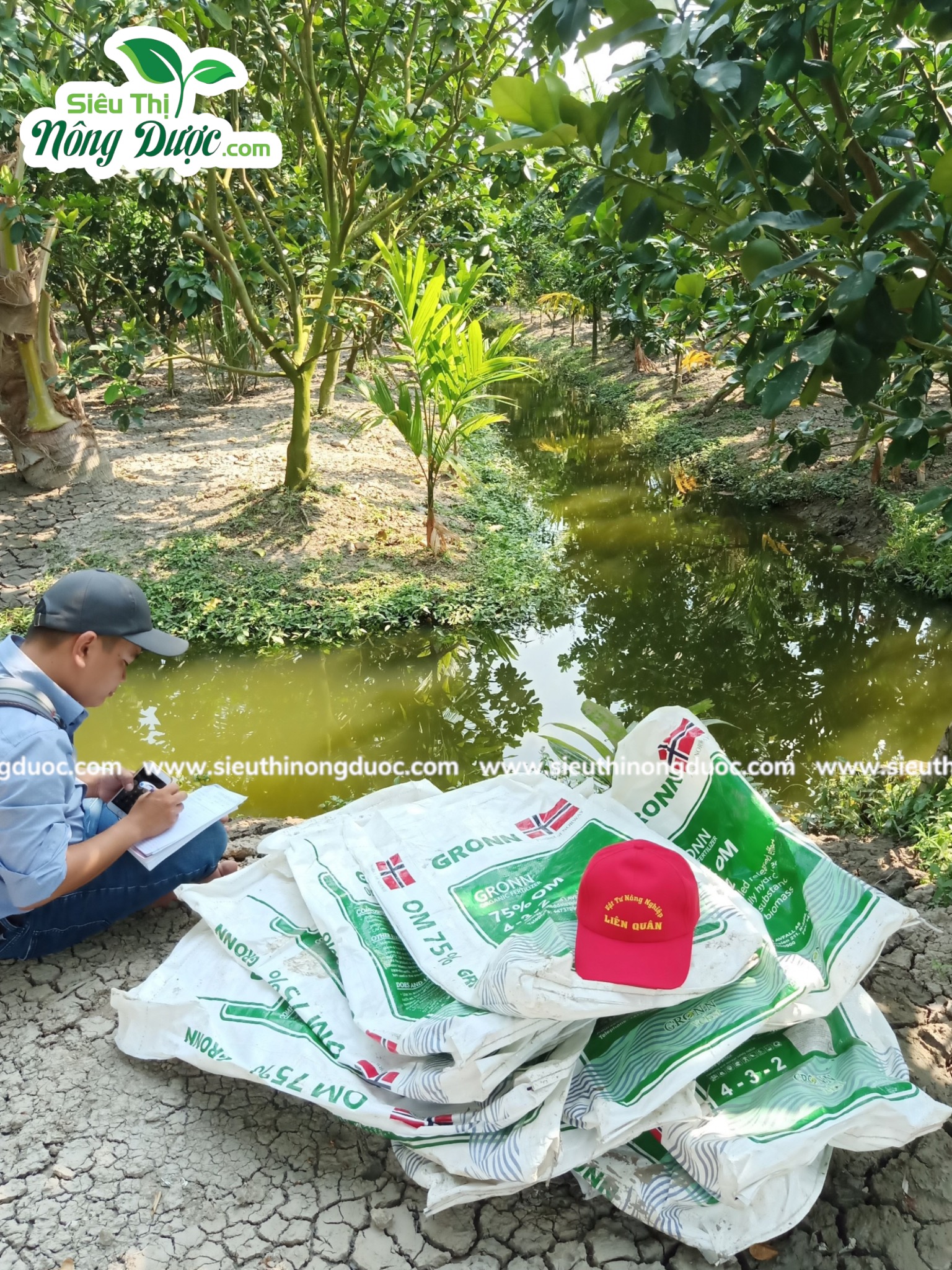 Thăm vườn bưởi da xanh của chú Sự ( Kinh10 - Kế Thành - Kế Sách - Sóc Trăng )