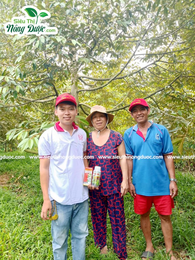 Thăm vườn sầu riêng chú Hà ( Xuân Hoà - Kế Sách )