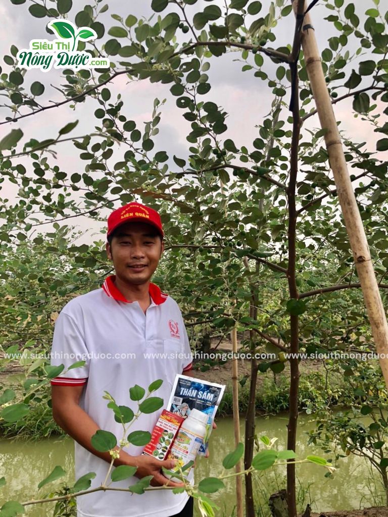 TeamLiênQuân thăm vườn táo anh Bé Sáu ở Trà Canh - Châu Thành - Sóc Trăng