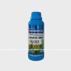 KASUGACIN 3SL