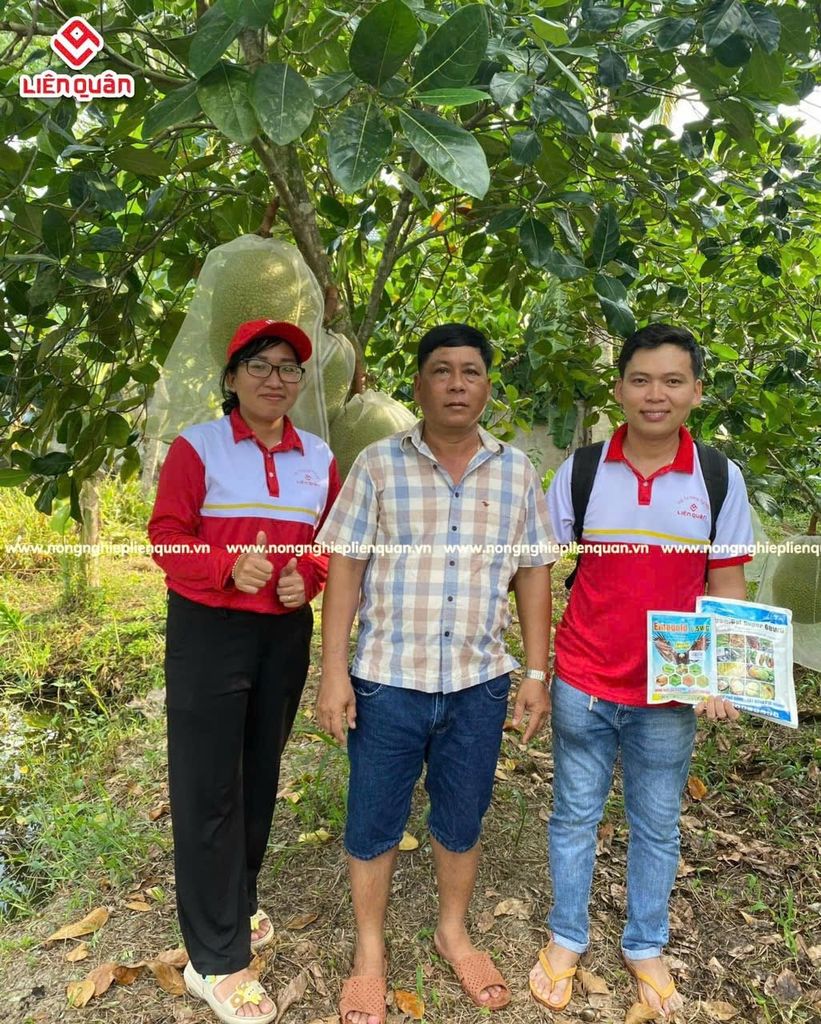 VƯỜN MÍT