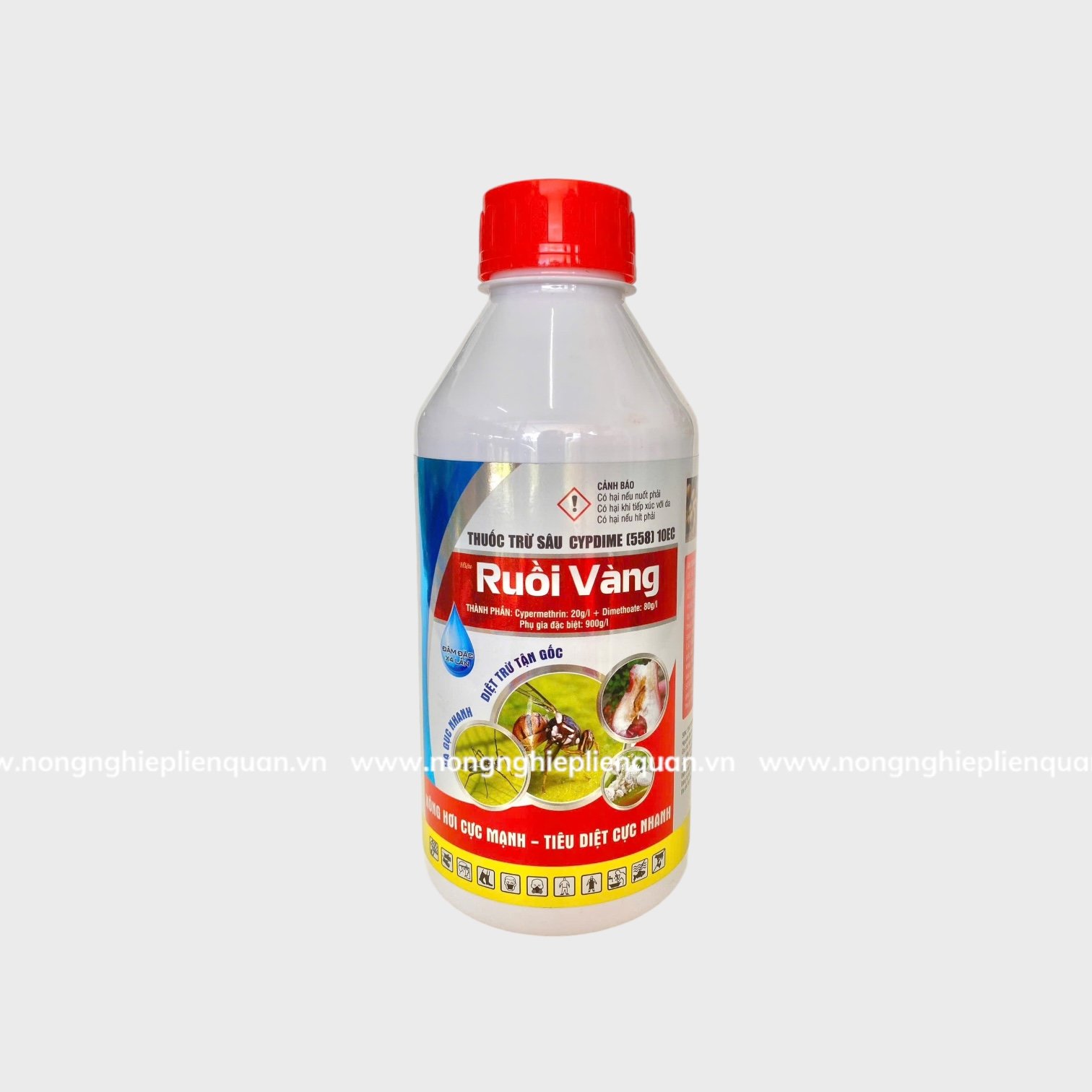 RUỒI VÀNG