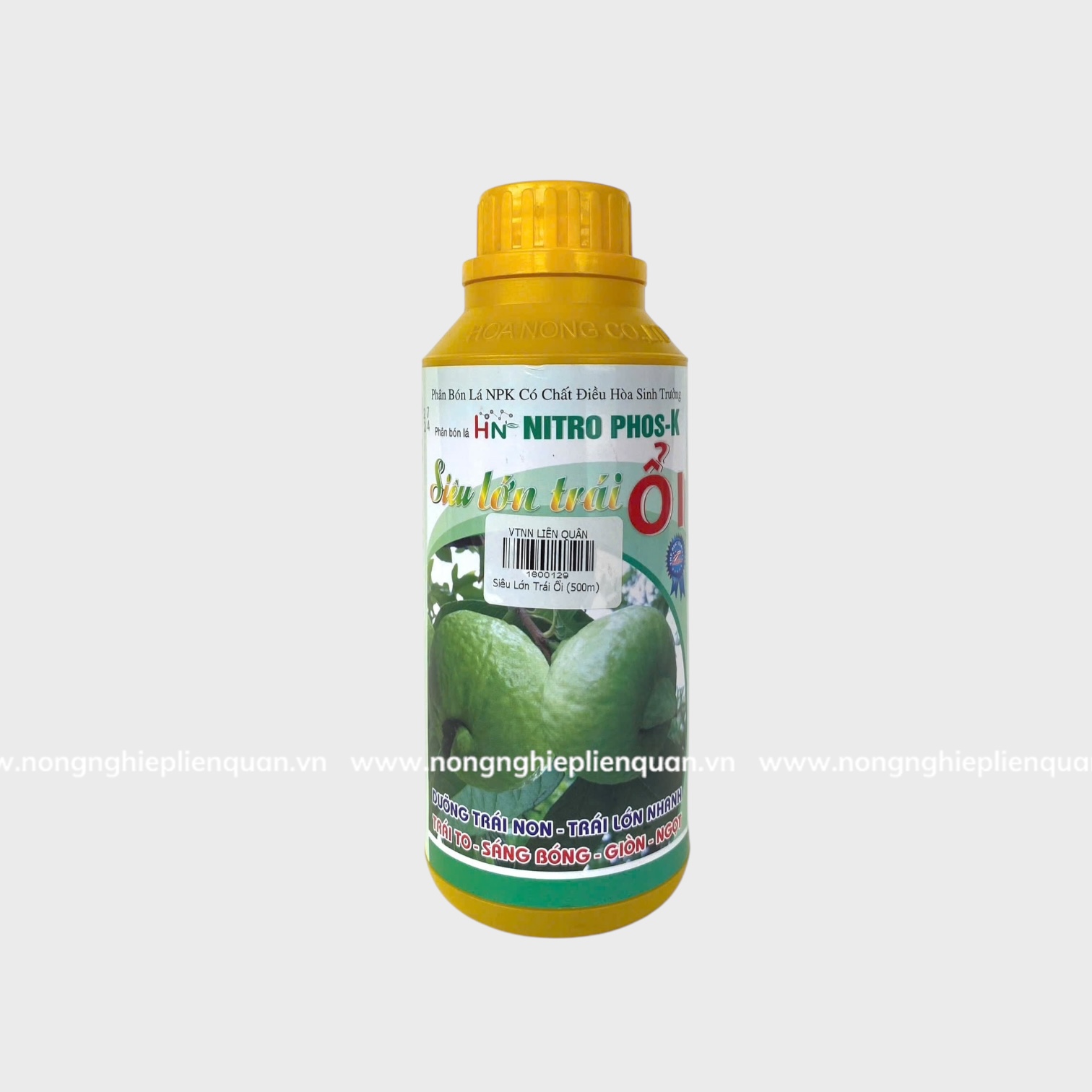 SIÊU LỚN TRÁI ỔI (HN)