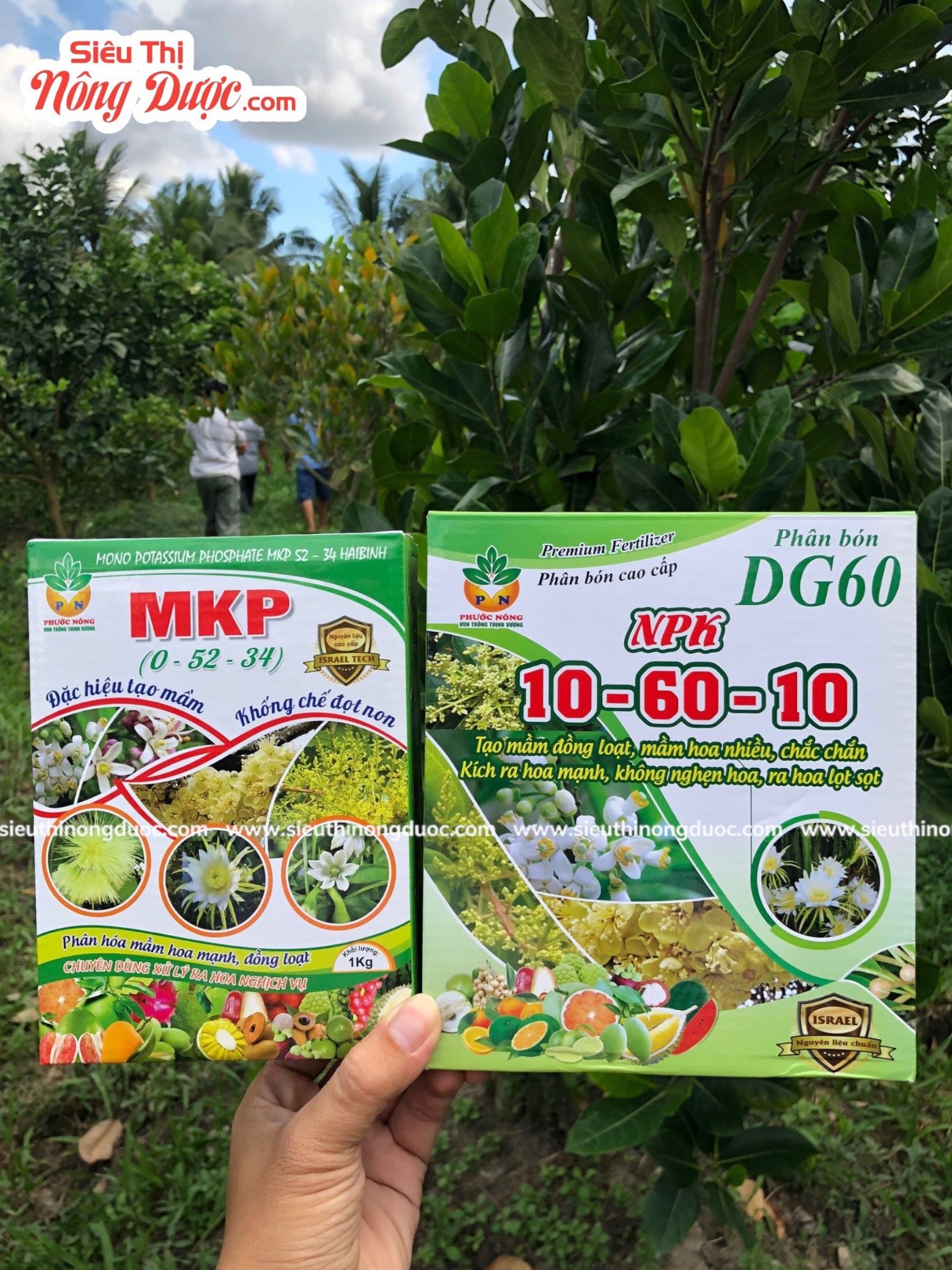 Team Liên Quân thăm vườn mít của anh Phước ở Châu Khánh Long Phú Sóc Trăng