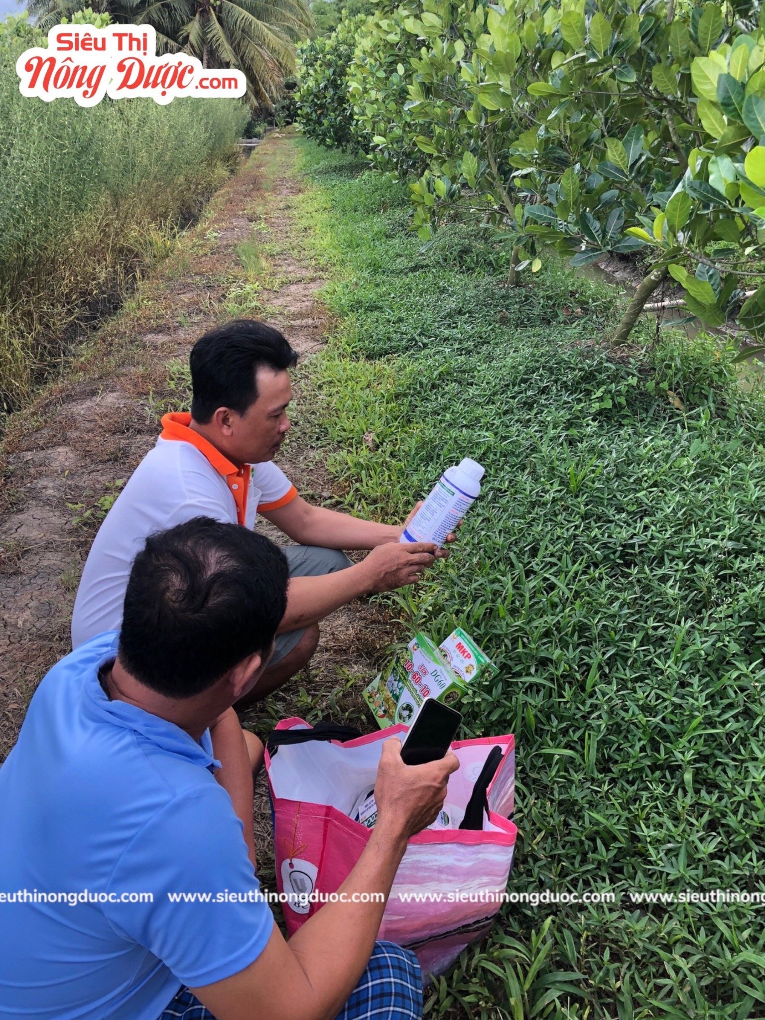 Team Liên Quân thăm vườn mít của anh Phước ở Châu Khánh Long Phú Sóc Trăng