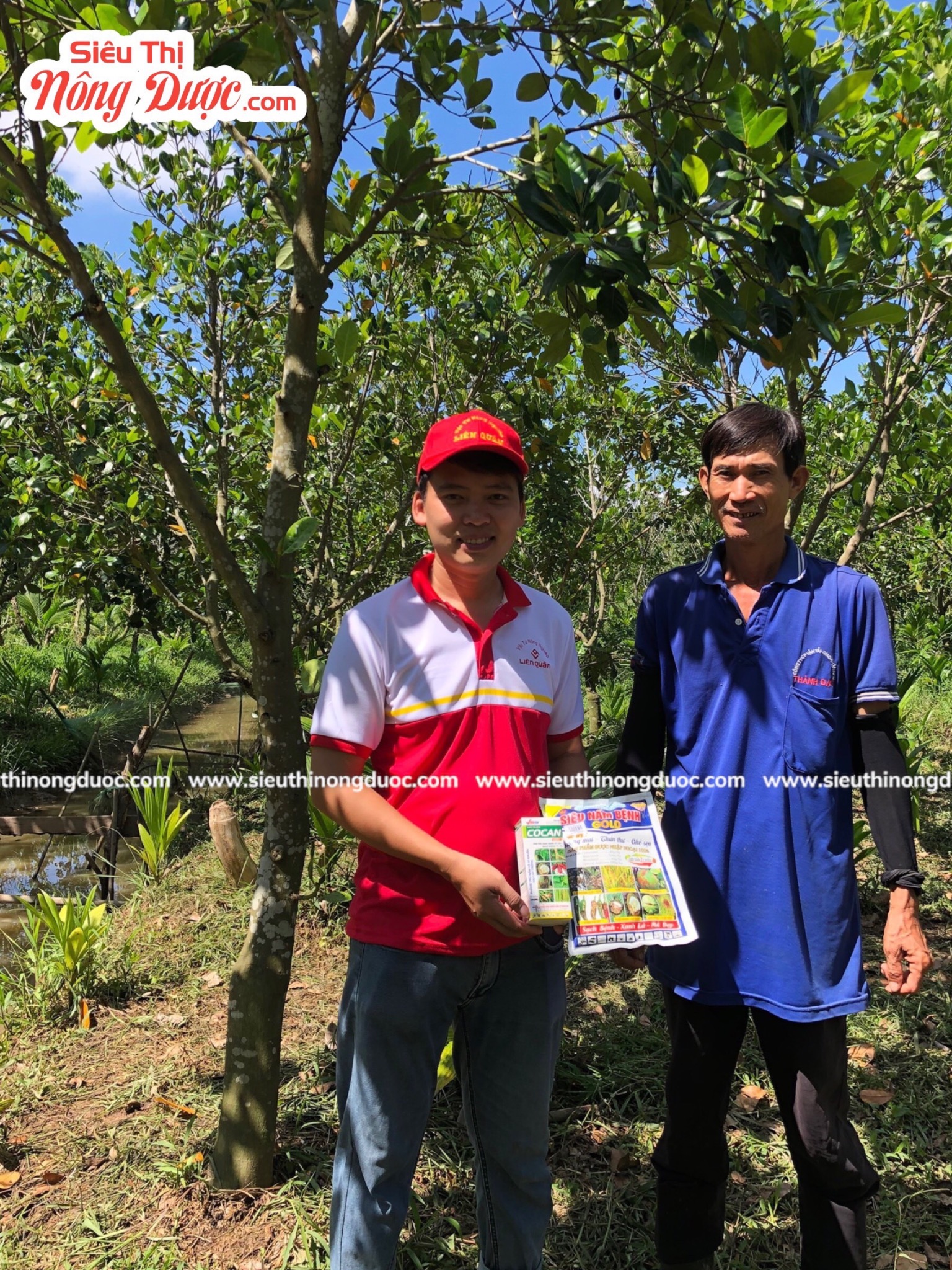 Team Liên Quân thăm vườn mít của anh Hiền ở Trường Lộc Trường Khánh - Long Phú - Sóc Trăng