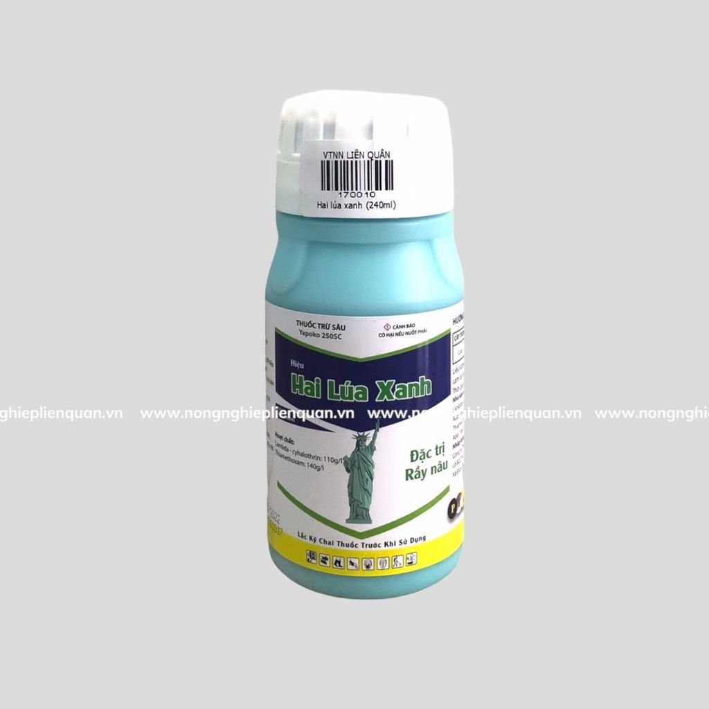 HAI LÚA XANH (240ml)