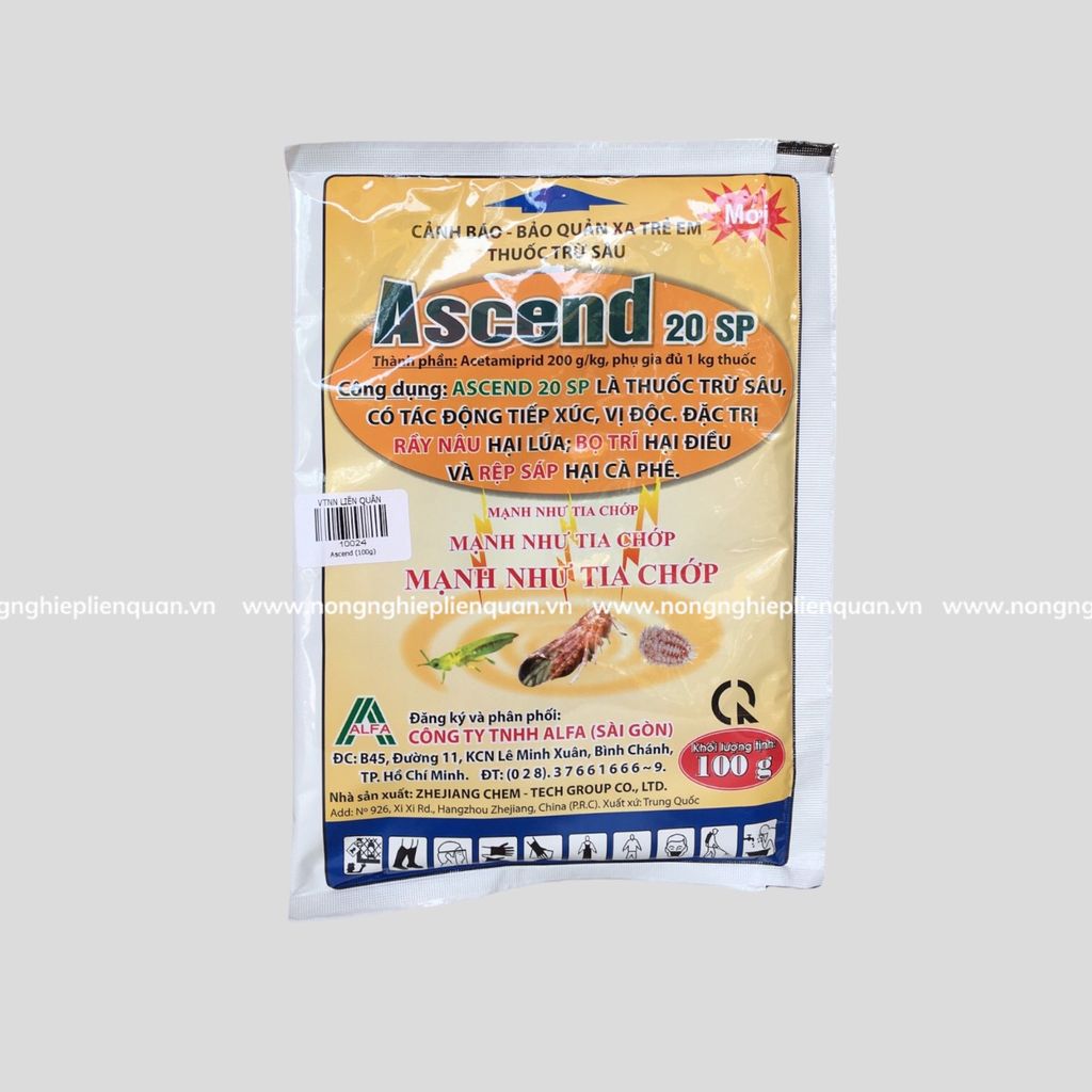 ASCEND 20 SP (100G)