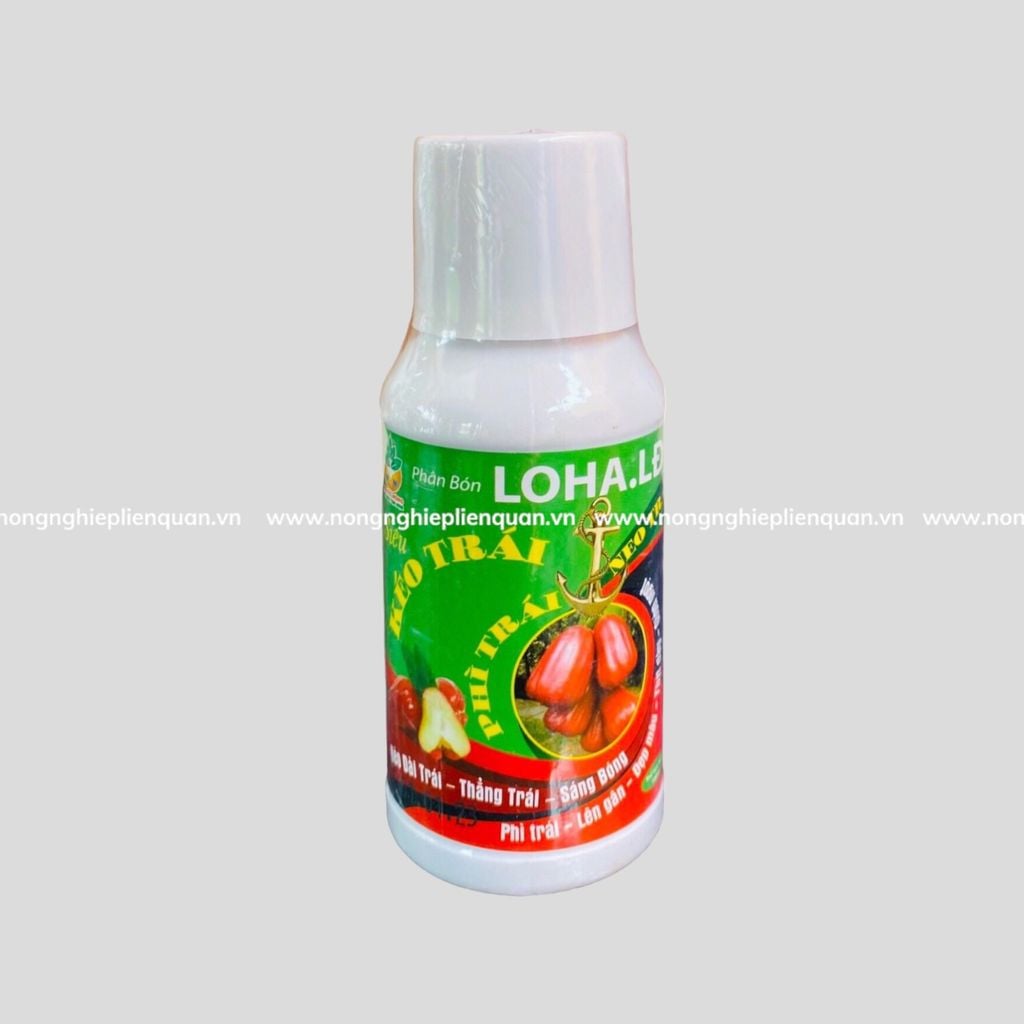 KÉO TRÁI PHÌ TRÁI MẬN