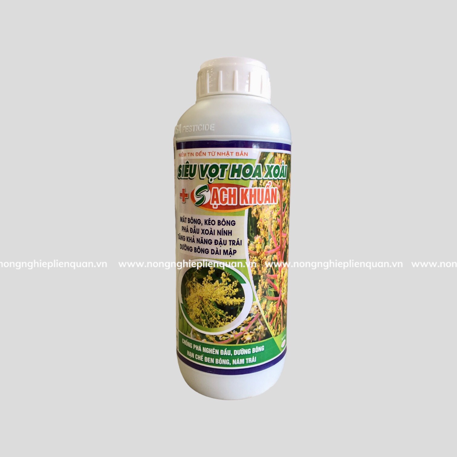 SIÊU VỌT HOA XOÀI + SẠCH KHUẨN (L)