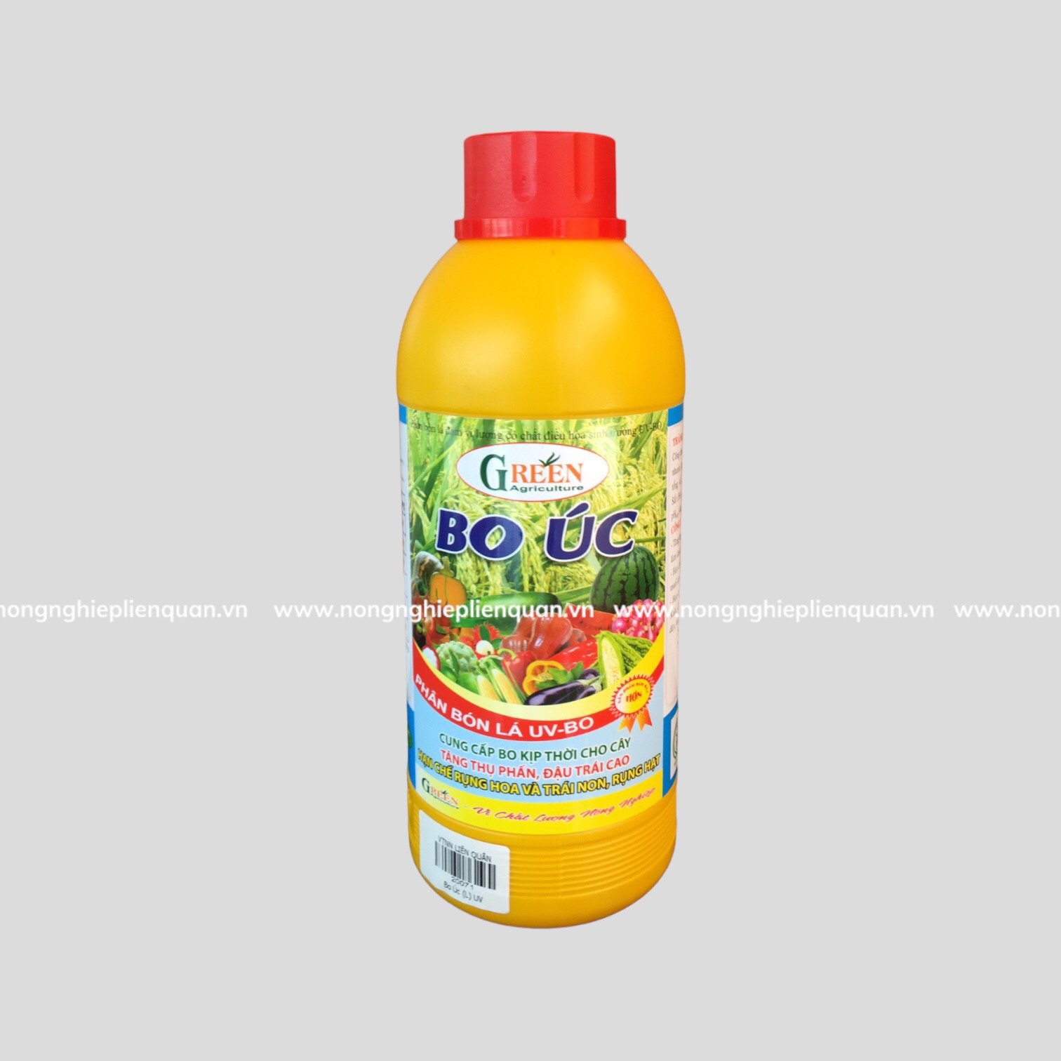 BO ÚC (L) UV